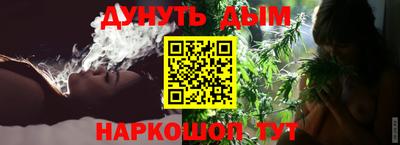 СК Гатчина