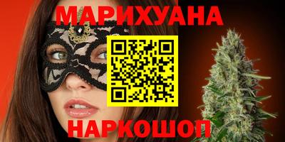 СК Гатчина