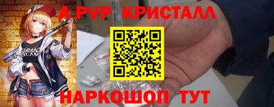 СК Гатчина