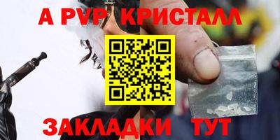 СК Гатчина